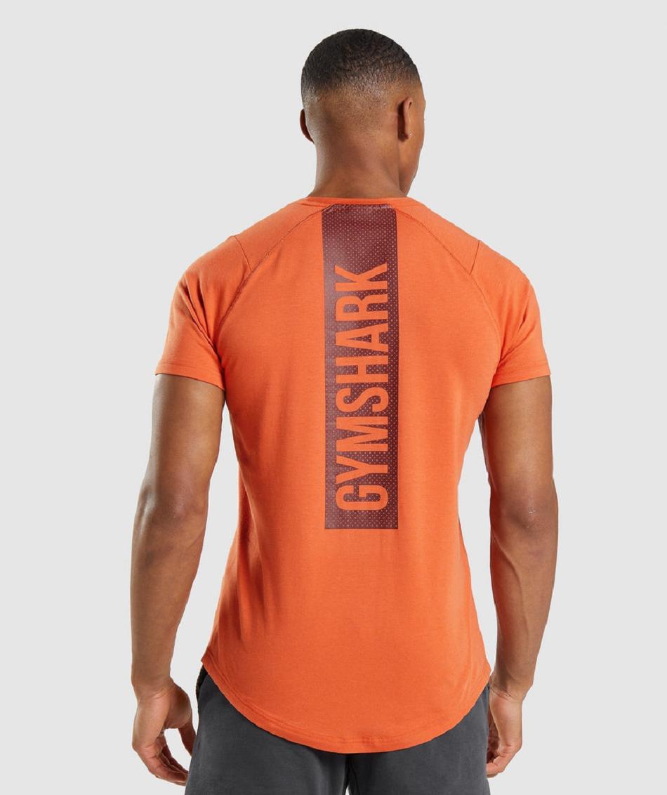 Gymshark Bold Muške T Shirts Narančaste | HR 2417FDN